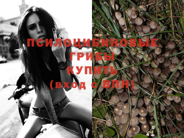 круглые Арсеньев